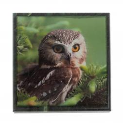 Шкатулка "Сова" из змеевика 13х13х8 см